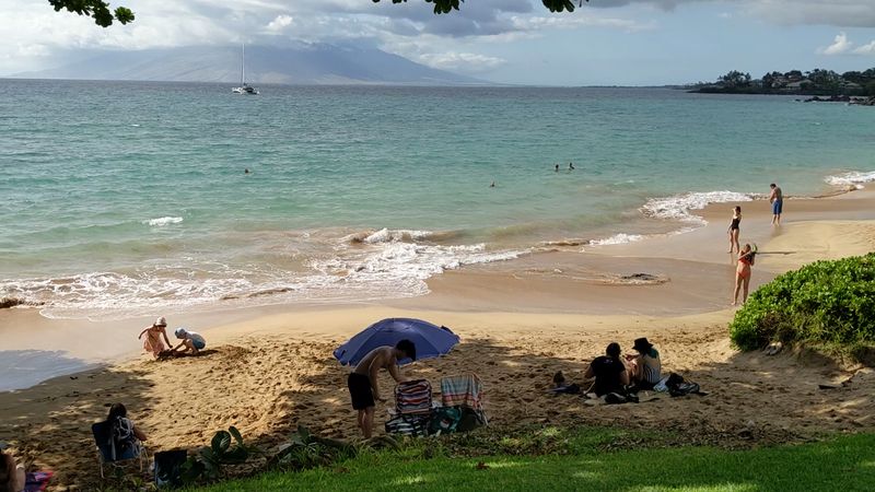 Beach days that never left