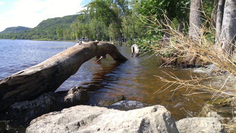 Tranquility on Lake Pepin