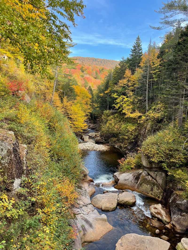 Wildlife Watching Opportunities