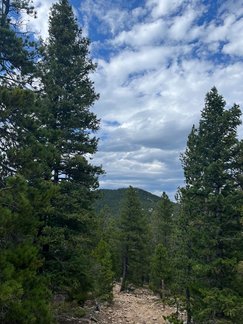 Golden Gate Canyon State Park