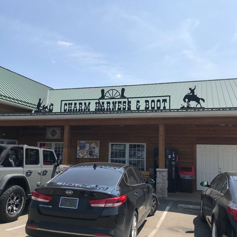 Charm Harness and Boot