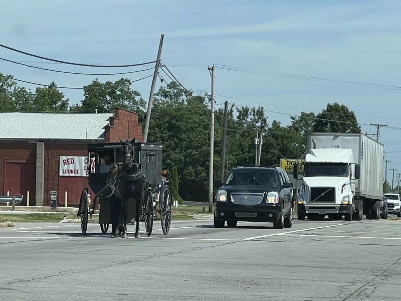 Drive Slowly and Watch for Buggies