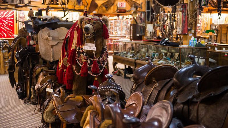 Visit a Saddlery and Museum