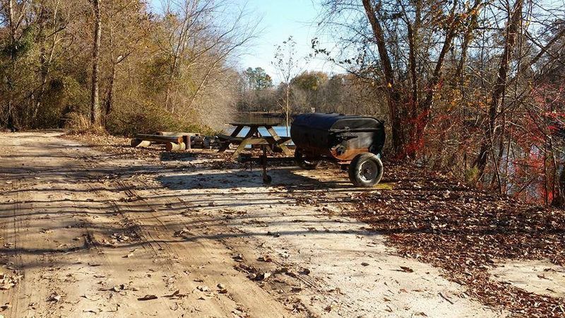 A living ghost landscape