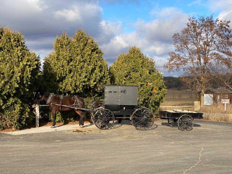 Kingston’s Calm Backroads Lined With Working Farms