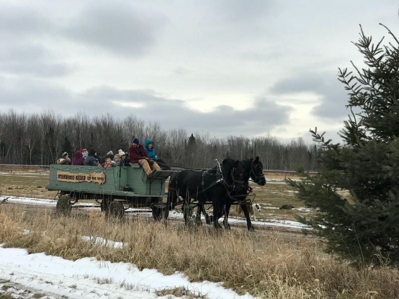 Small Family Farms Offering Old Fashioned Seasonal Rides