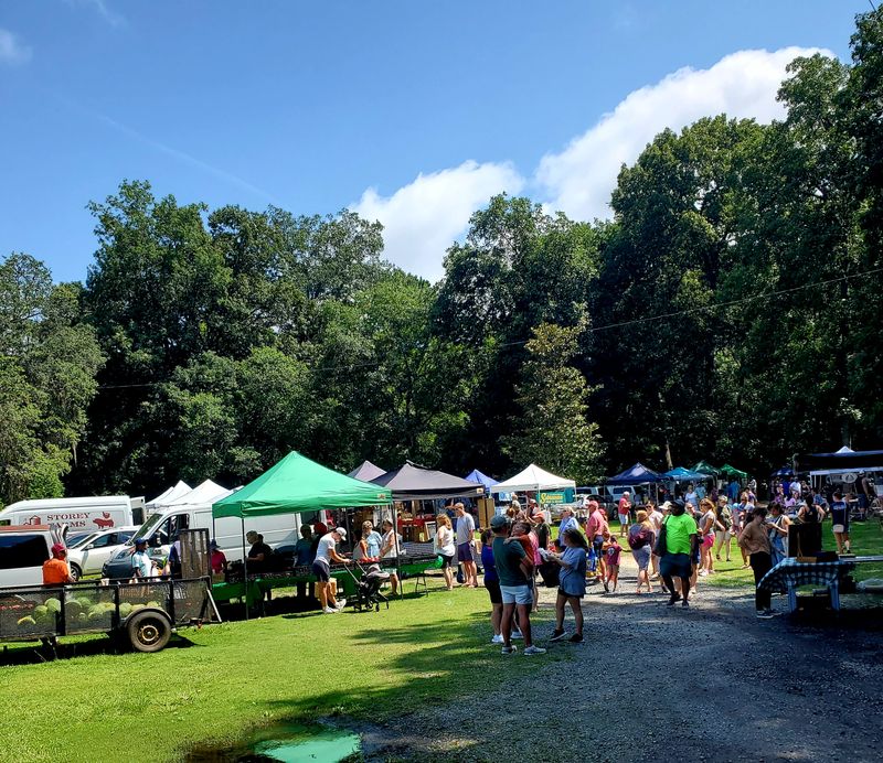 Mild Winter Climate Perfect for Outdoor Exploration