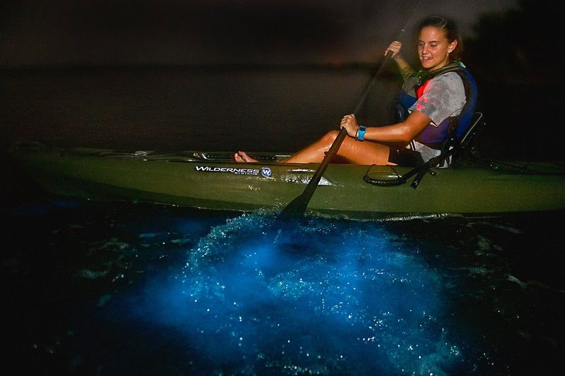 A Day Away Kayak Tours – Bioluminescent Kayaking