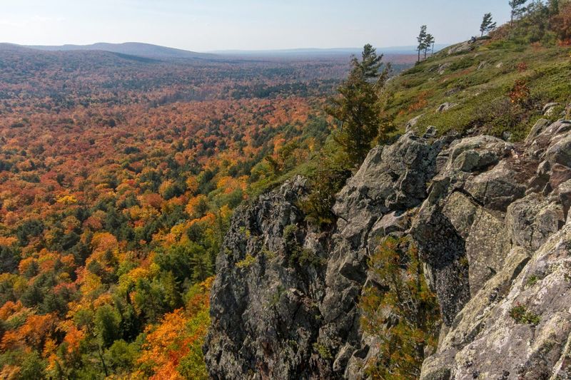 Why Michigan’s Real Stories Matter More Than Photos