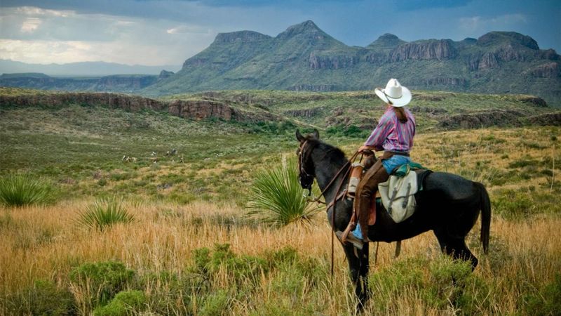Horseback Trails Stretching Through Hill Country