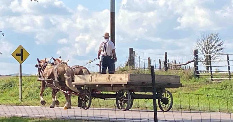 Using Your Phone Constantly in Amish Areas