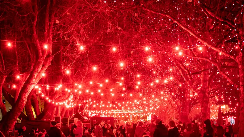 Red Lantern Fair Lot