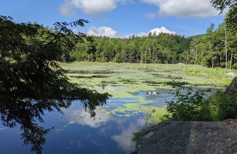 Pawtuckaway State Park