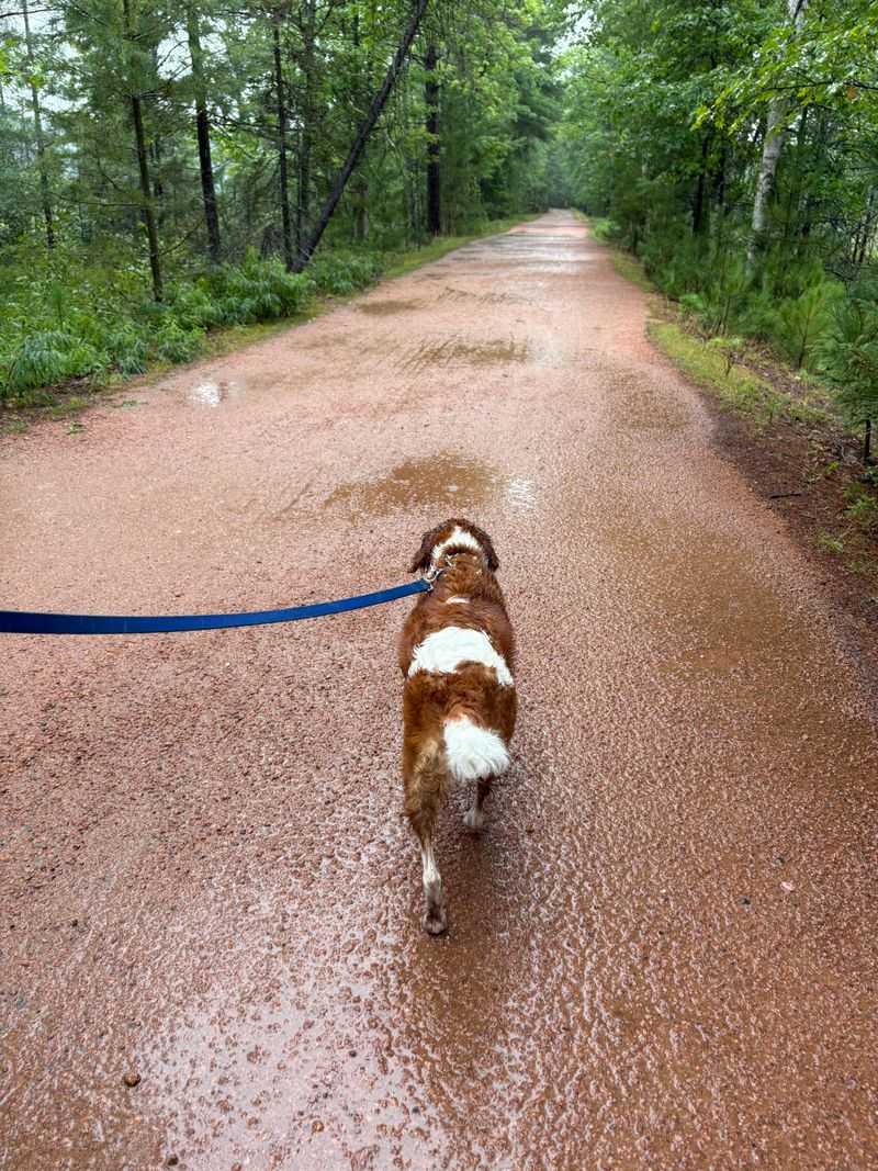 No Trail Pass Needed for Walkers