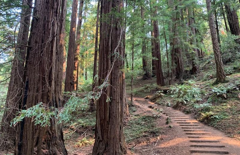 Ignoring Park Reservations