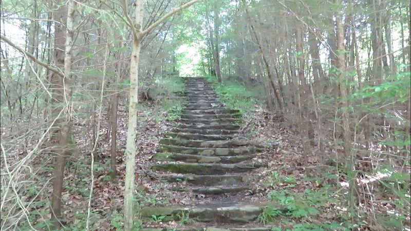 The Collapsed Wonderland Hotel