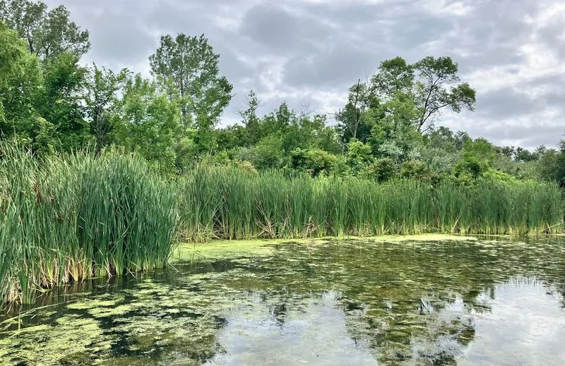 Heron Haven Nature Center
