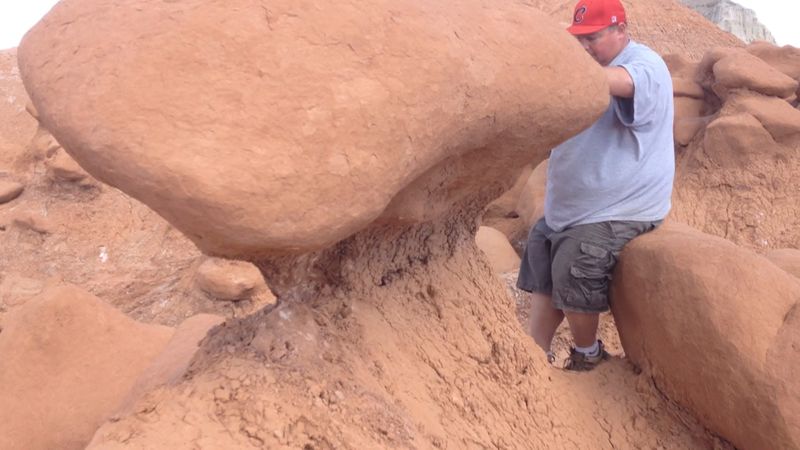 Legal Precedents You Should Know