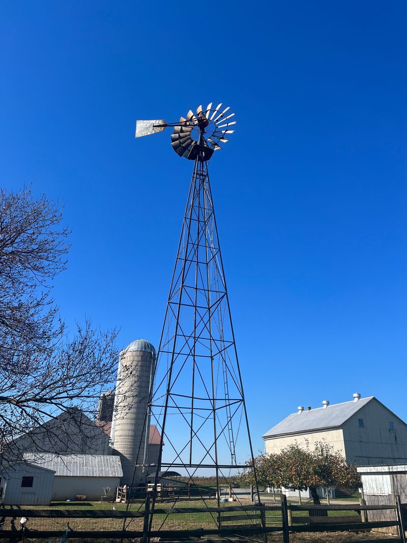 Amish Christmas Experience at Old Windmill Farm