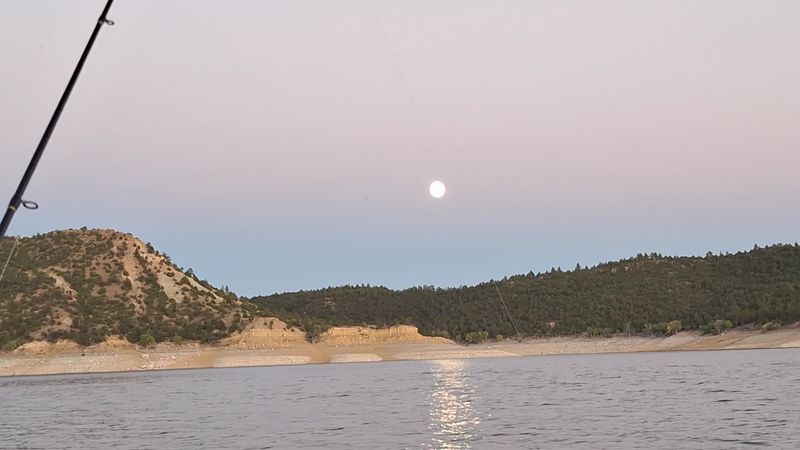 Fishing the North Platte’s Big Blue
