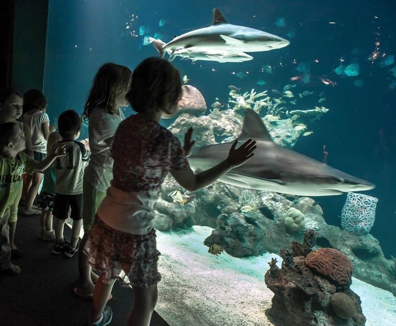 Greensboro's Indoor Cultural Escape