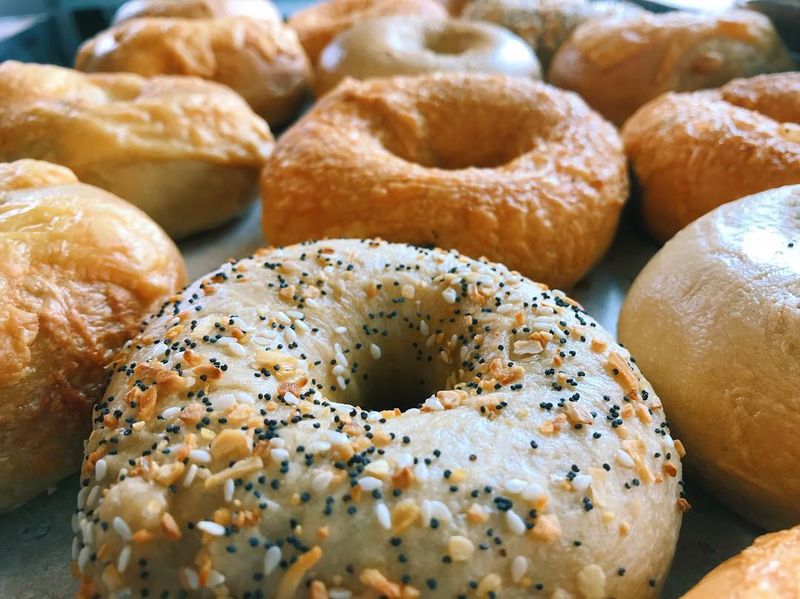 The Daily Bagel