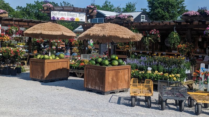 The Country Barn & Country Boy Café