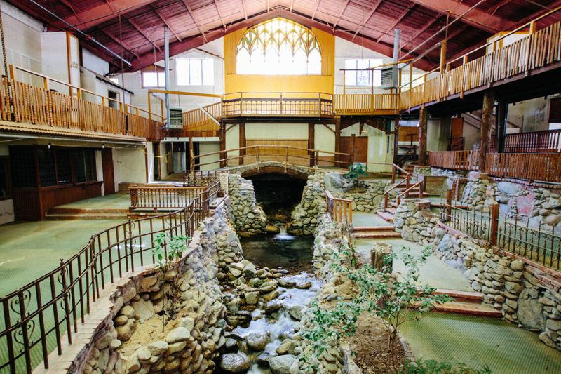 Light That Refused to Dim