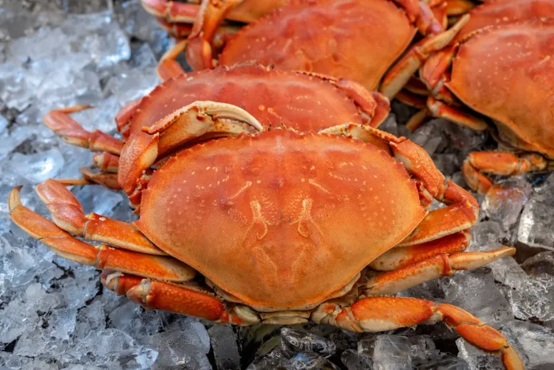 Supporting Sustainable Fishing Practices