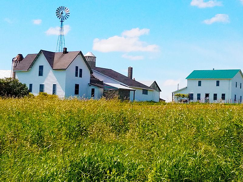 Migration Patterns Follow Affordable Land