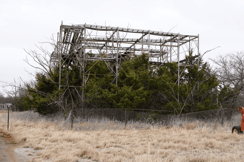 Reported Sightings Through the Decades