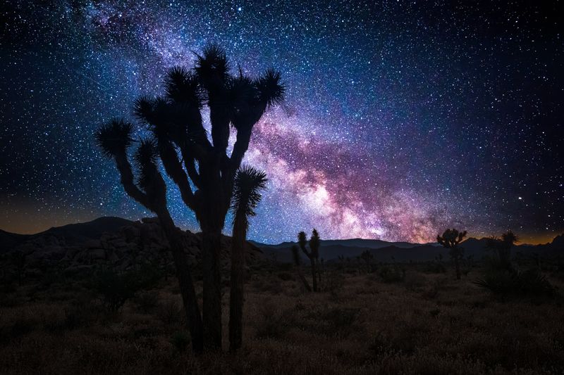 Joshua Tree Stargazing Tour – Joshua Tree National Park