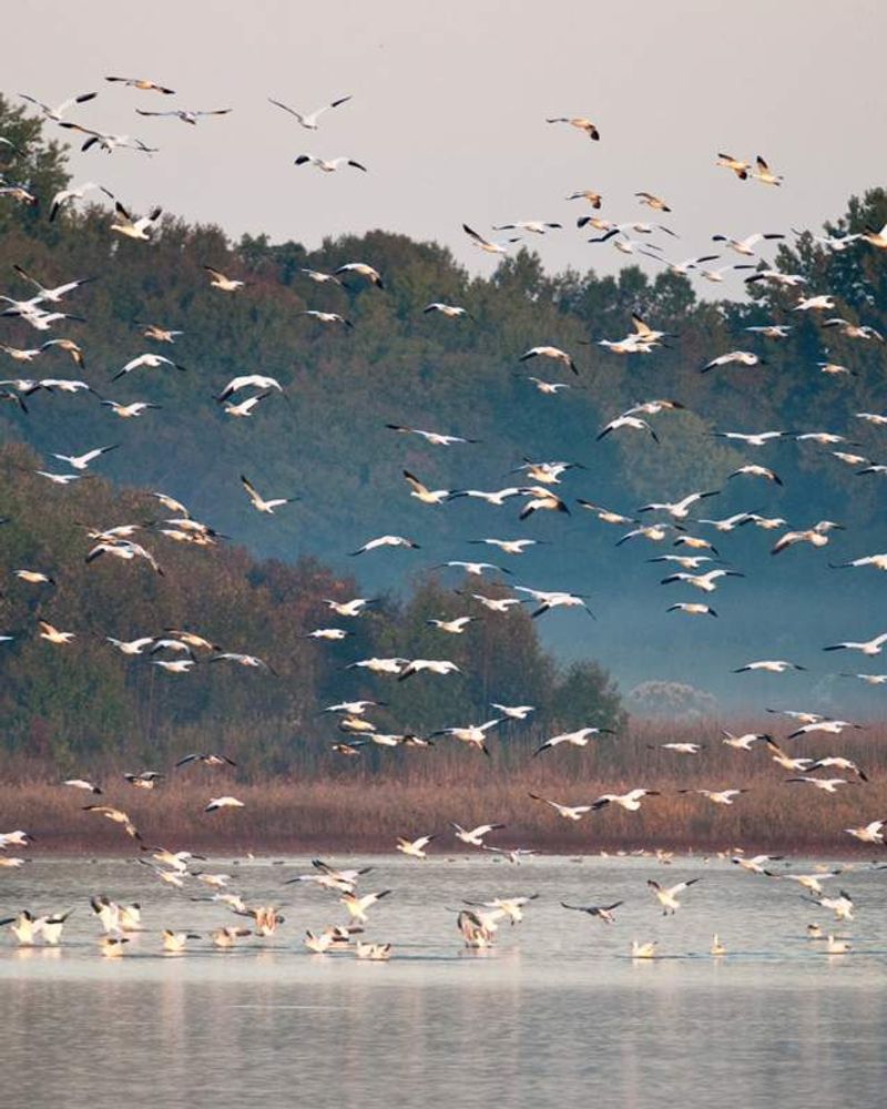 Focus on Nature & Birdwatching