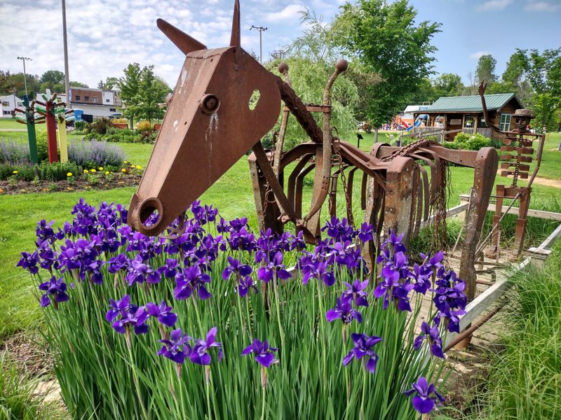 Ontario’s Quiet Lanes Filled With Simple Wooden Storefronts