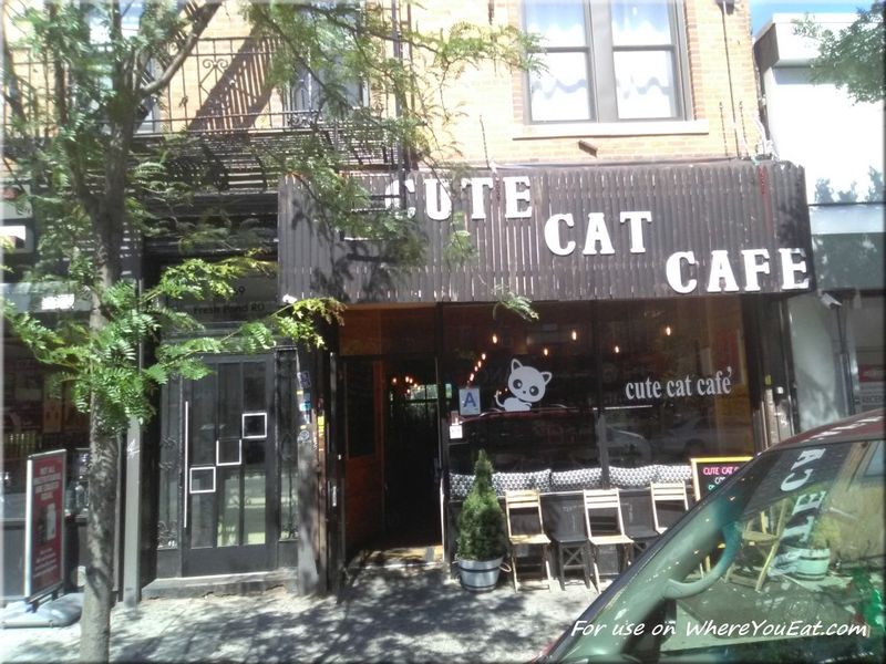 Cute Cafe – Queens