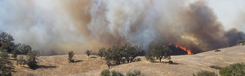 Clashing Over Local Norms