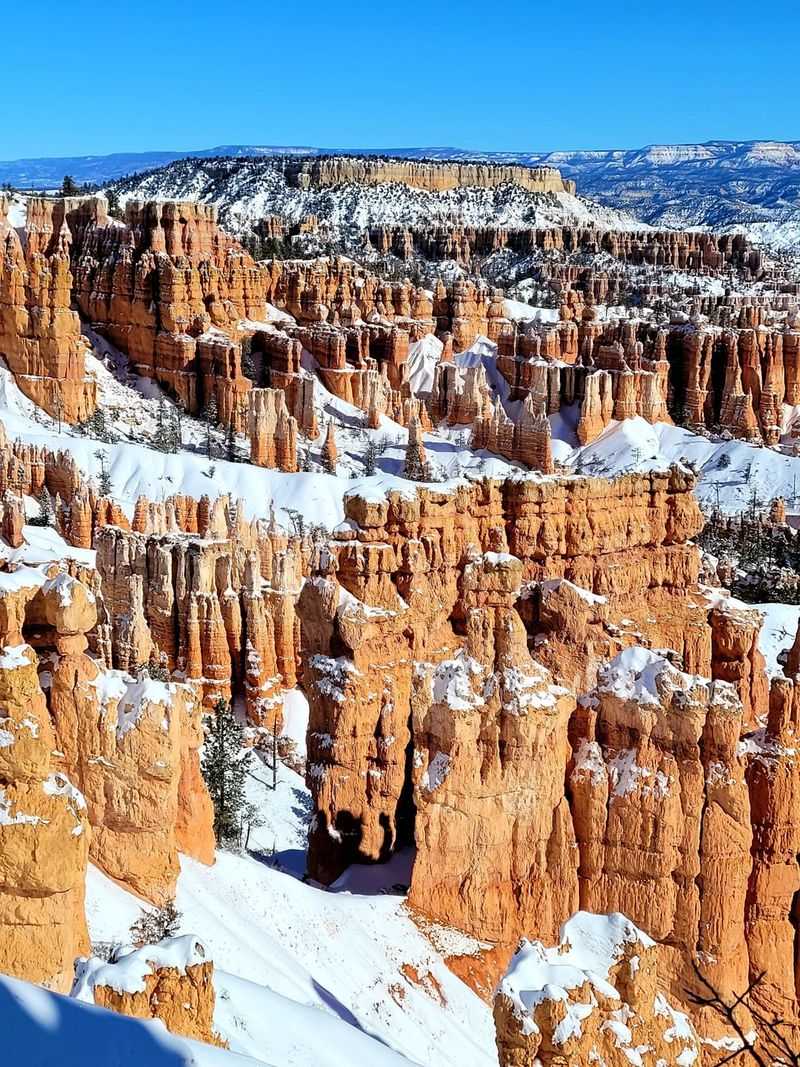 Bryce Canyon Hoodoo Ice Sheaths