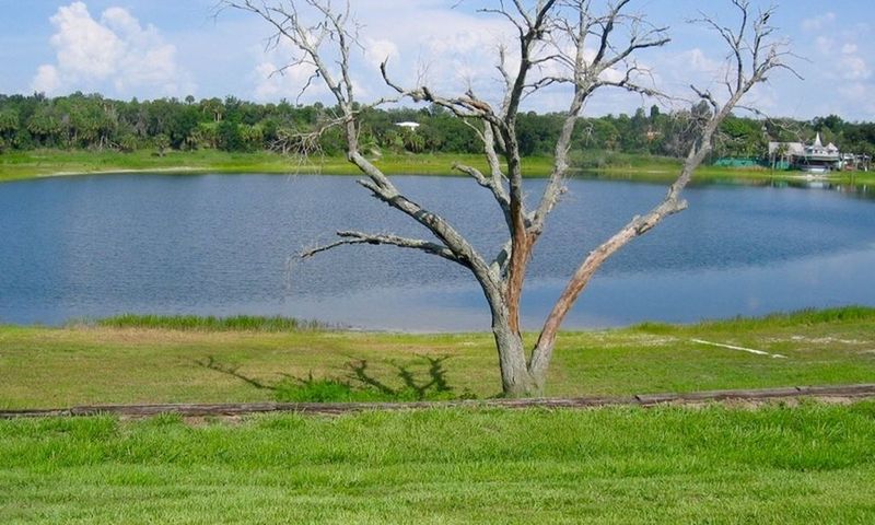 Lakeside Setting and Natural Beauty
