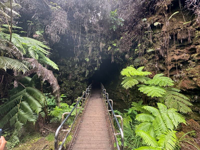 The Formation of New Land