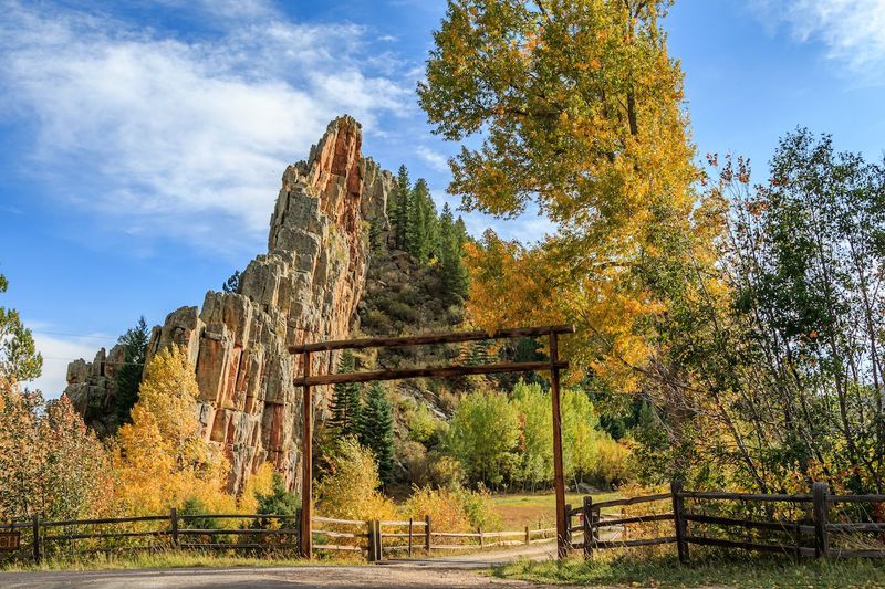 Family-Friendly Trails Through Aspen Groves