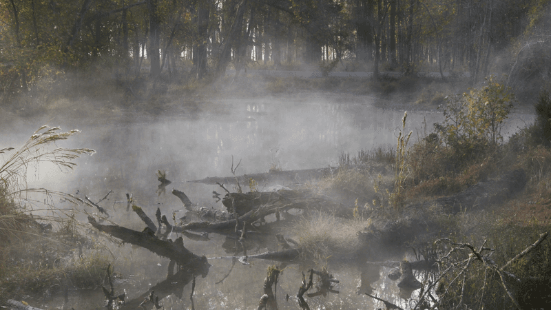 The Feu Follet Phenomenon