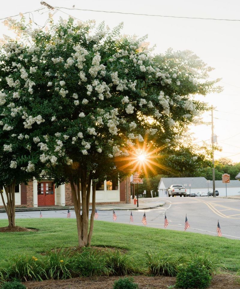 Slow-Paced Lifestyle