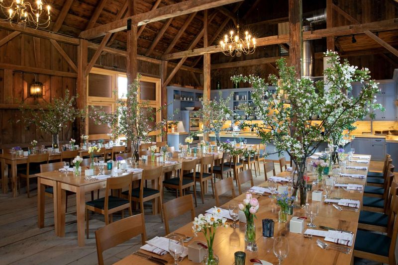 Farm-to-Table Dining Experience