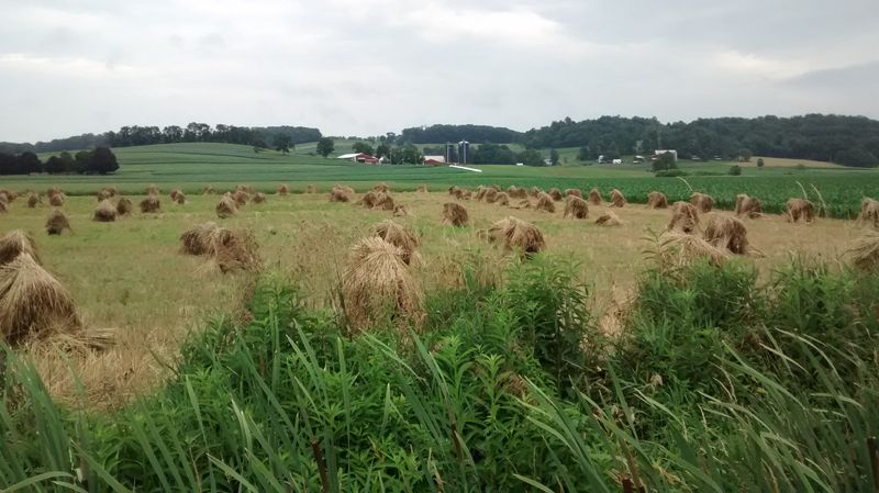 Kidron’s Tools, Auctions, and Honest Work