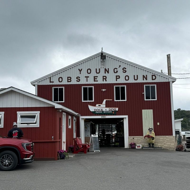 Young’s Lobster Pound (Belfast)