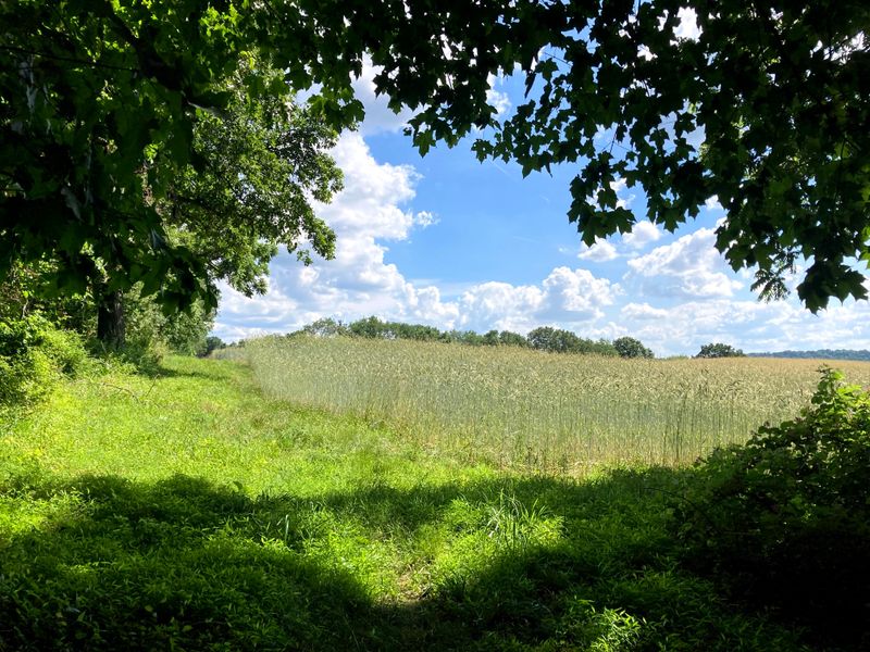 Truchas Rising Quietly Along a High Mountain Ridge