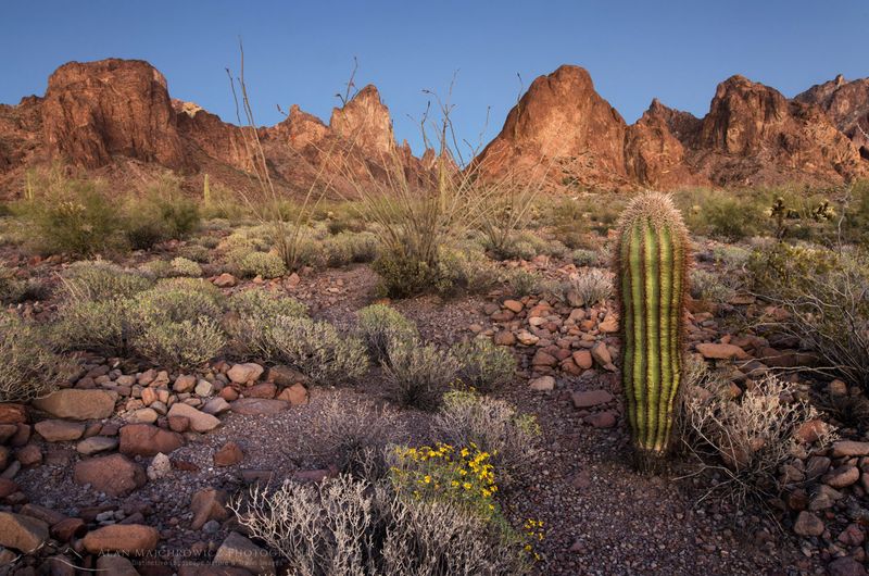 Kofa National Wildlife Refuge