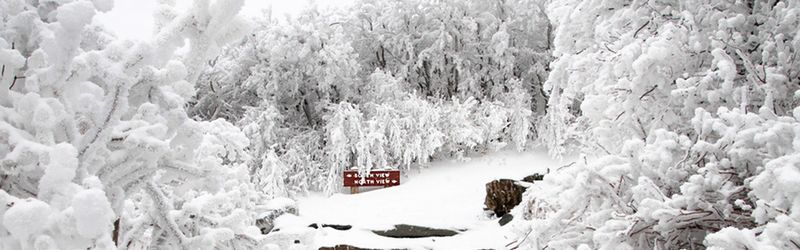 Elk Knob Summit Trail (Elk Knob State Park)