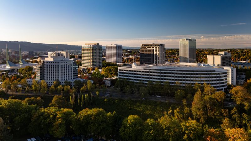 The Startup Incubator Revival