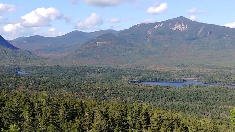 Vast Unbroken Boreal Forest